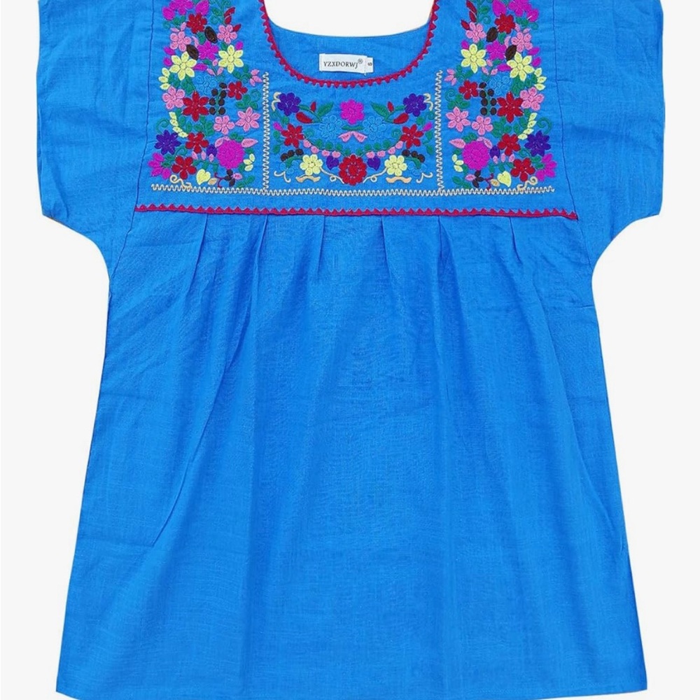 Blue Embroidered Peasant Blouse